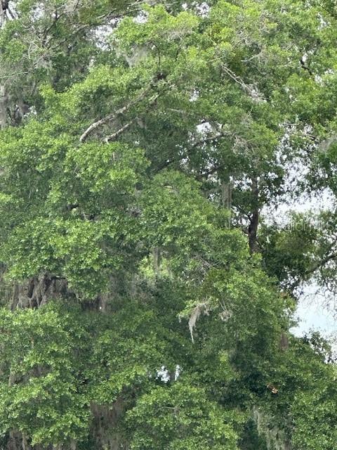 Listing Details for 3406 15th Avenue, GAINESVILLE, FL 32641