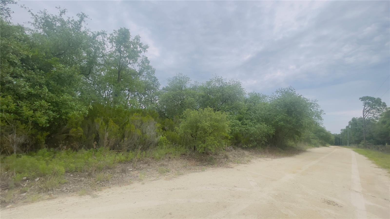 Details for Lot 115 87th Pl, BRONSON, FL 32621
