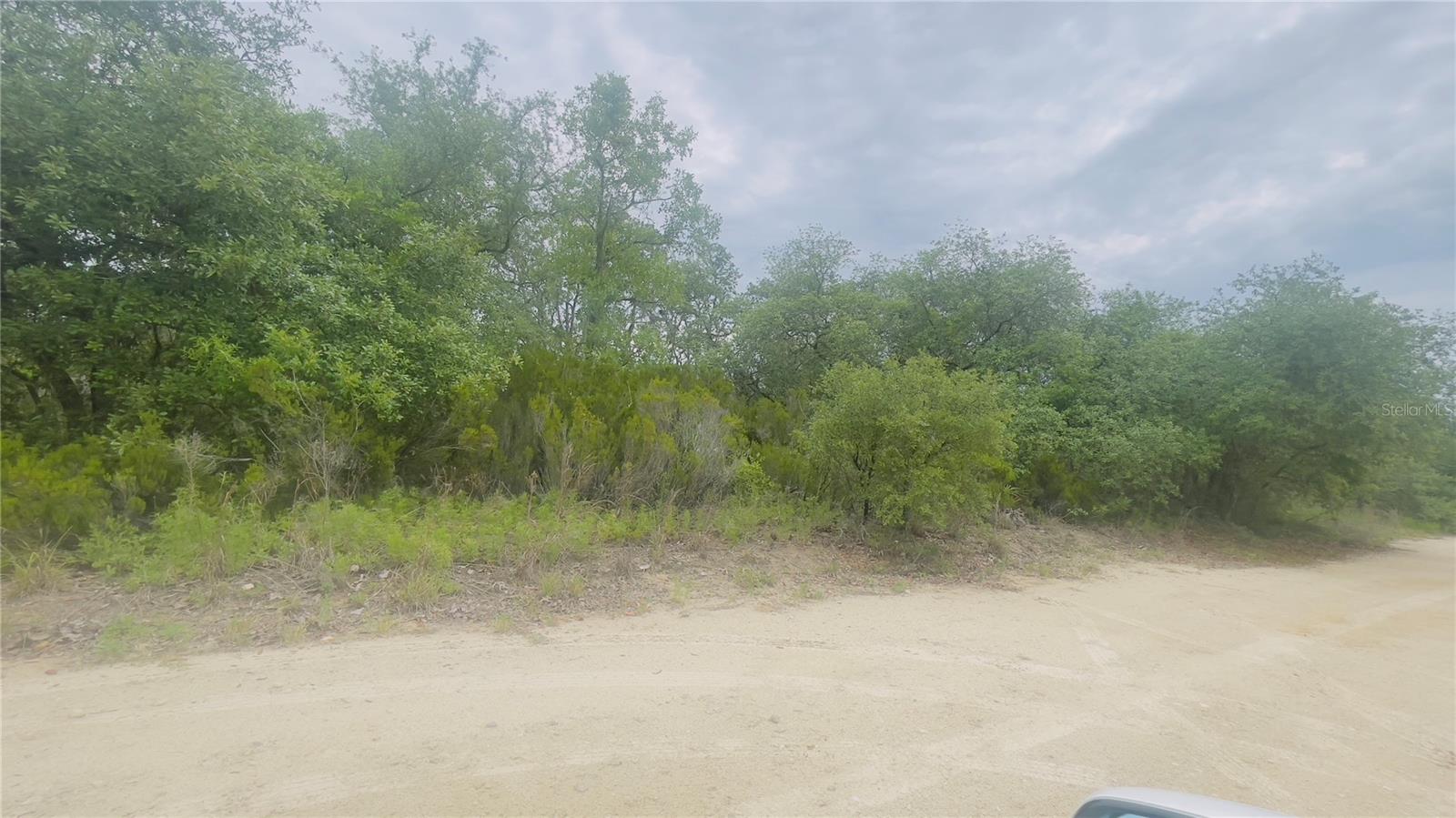 Image 3 of 4 For Lot 115 87th Pl