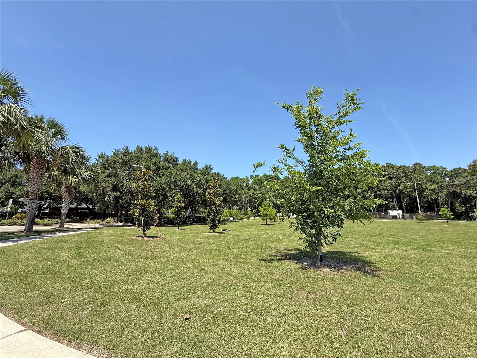 Image 34 of 43 For 15835 123rd Avenue