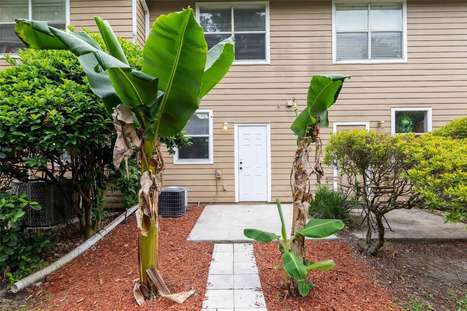 Image 36 of 36 For 4415 34th Street 503