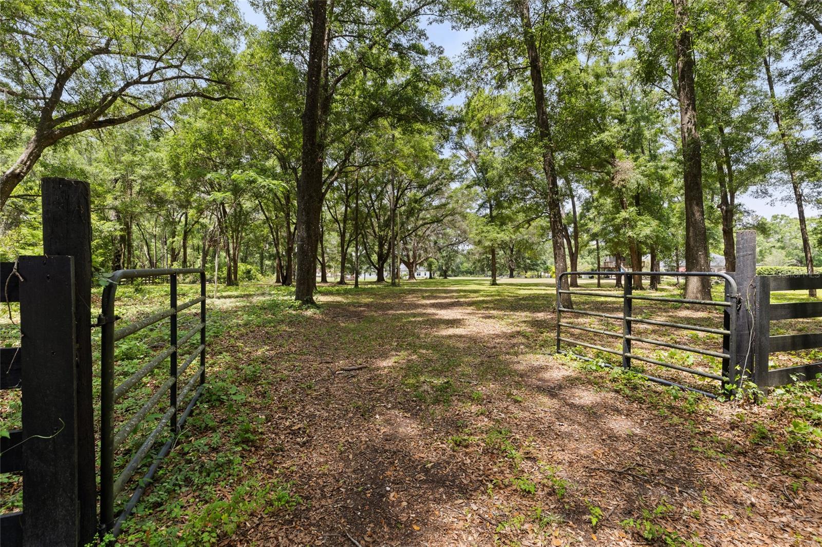 Image 66 of 68 For 563 155th Way