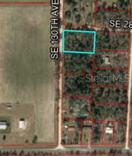 Listing Details for Tbd 130th Avenue, BRONSON, FL 32621