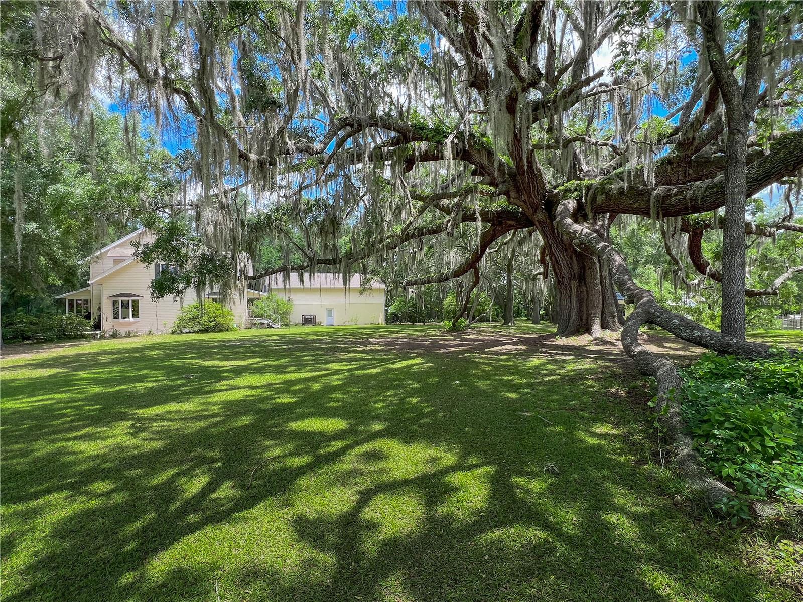 Image 16 of 76 For 8115 236th Street