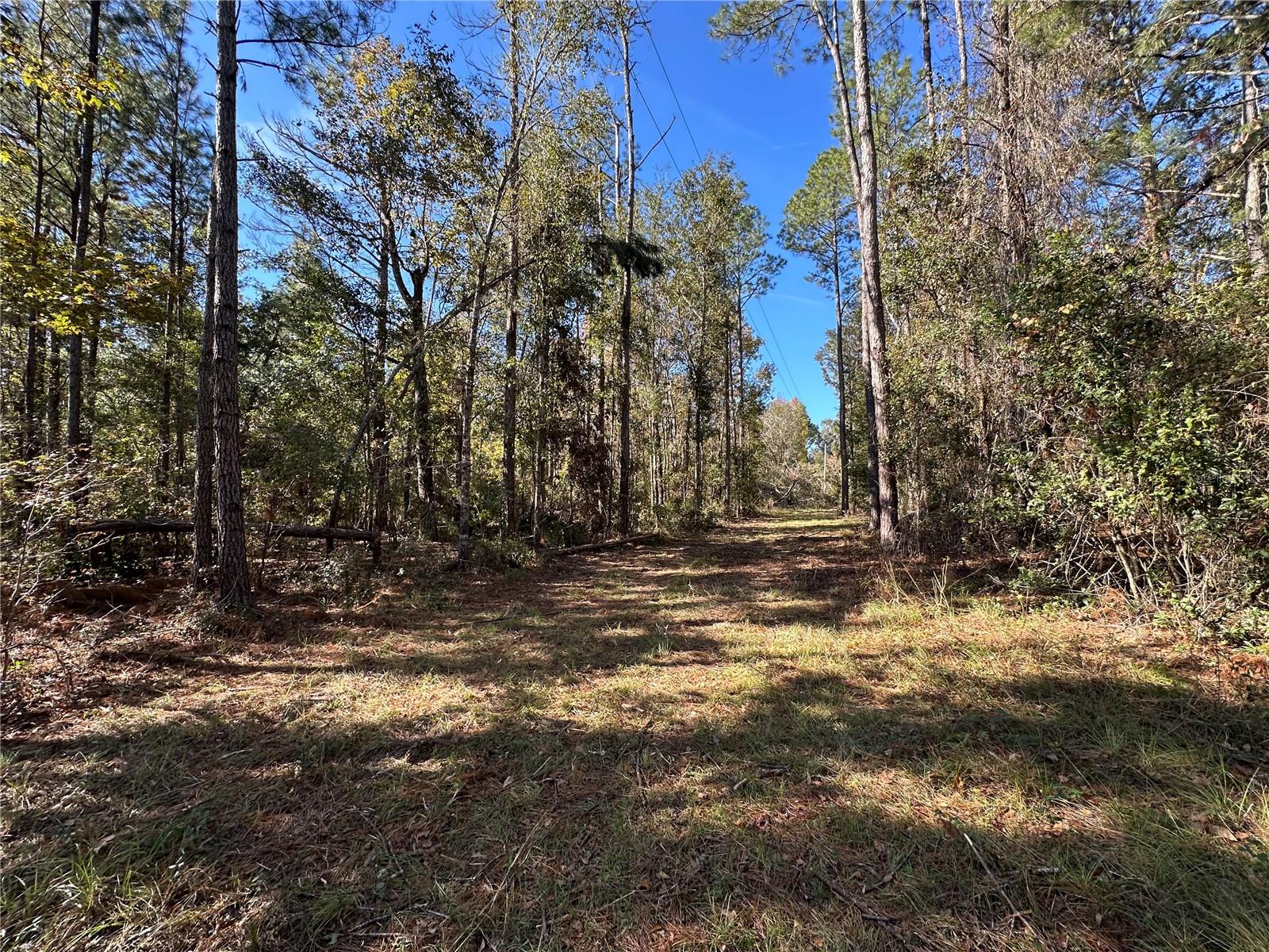Image 10 of 25 For 4705 234 Avenue