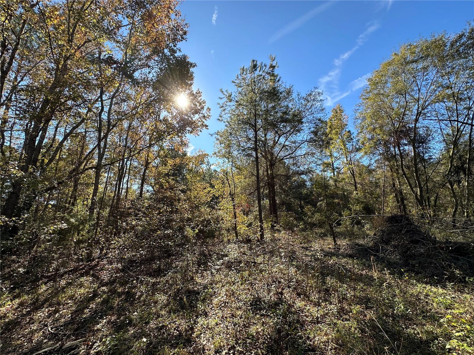 Image 11 of 25 For 4705 234 Avenue