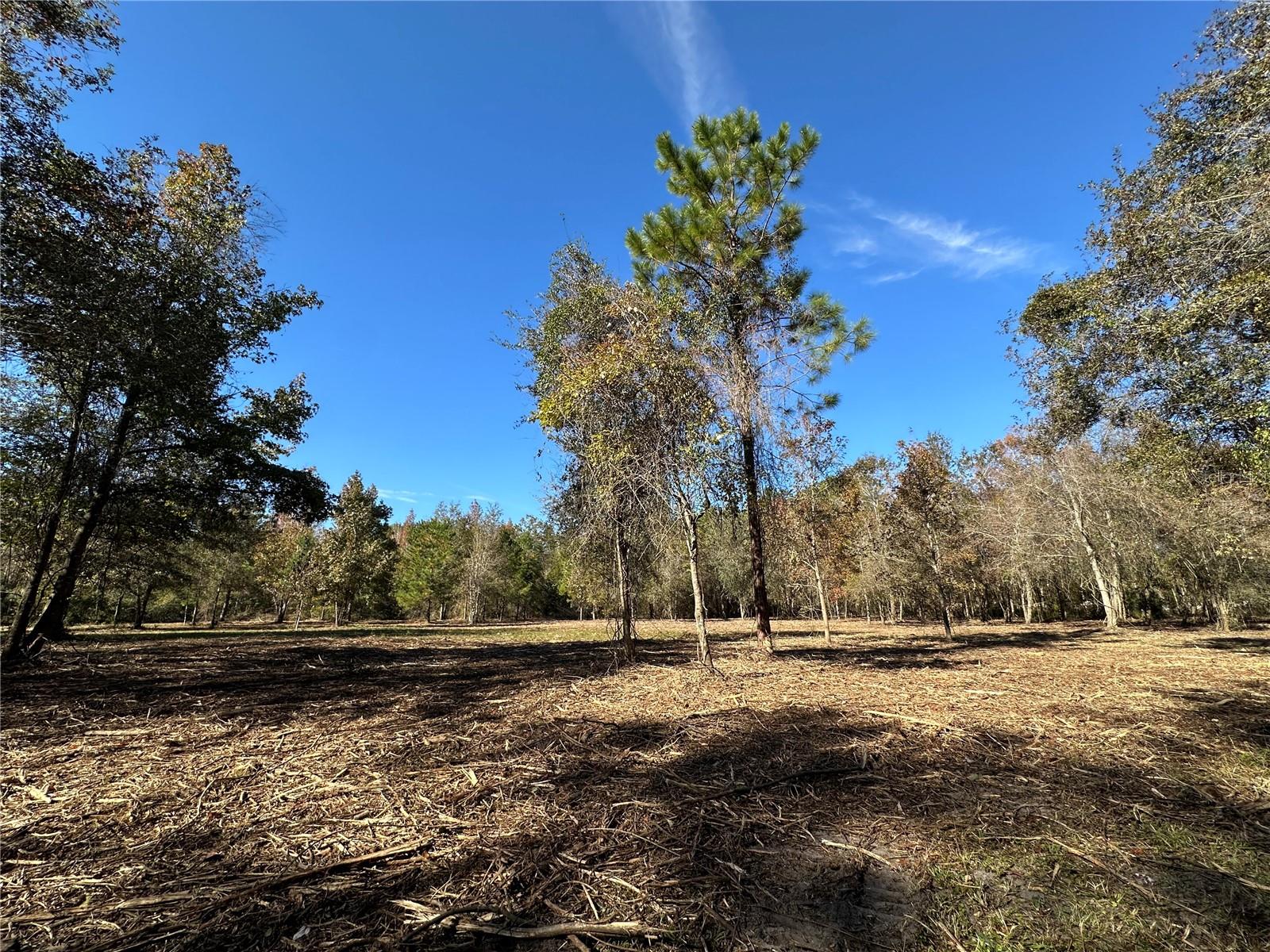 Image 2 of 25 For 4705 234 Avenue