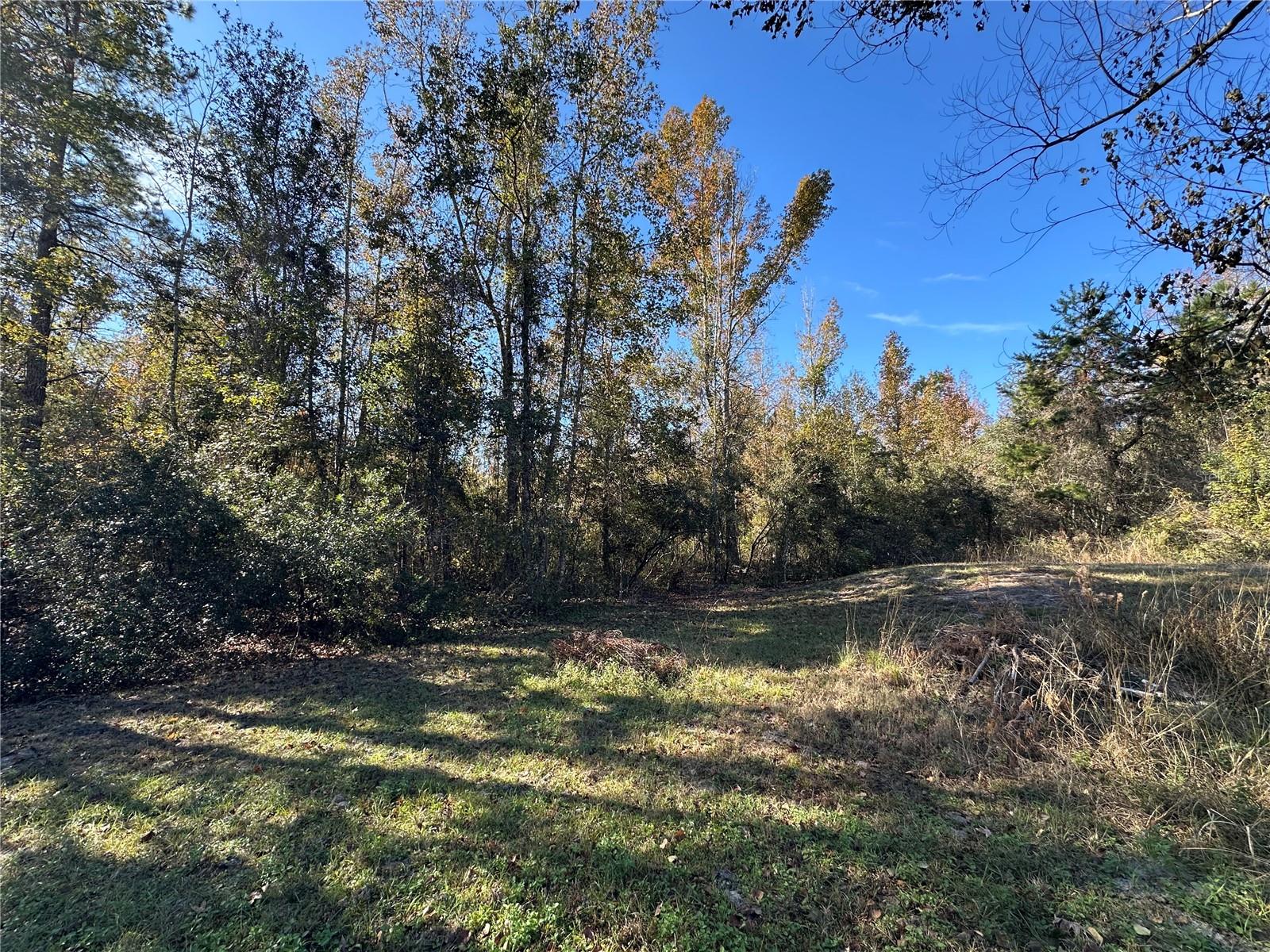 Image 4 of 25 For 4705 234 Avenue
