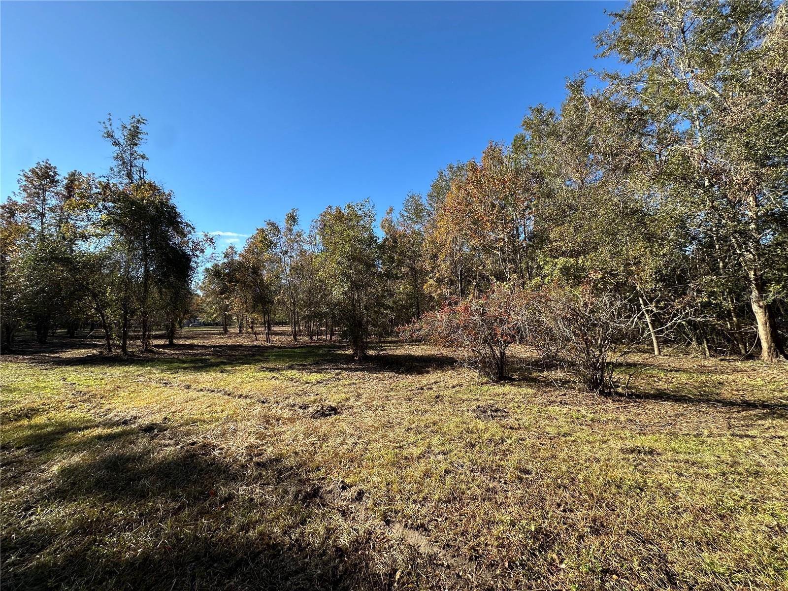 Image 5 of 25 For 4705 234 Avenue