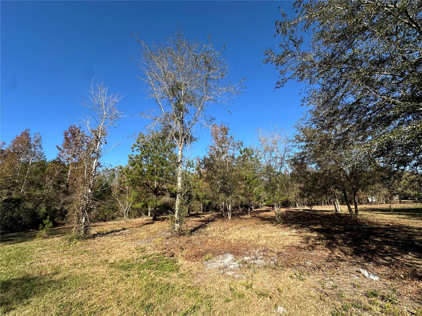 Image 7 of 25 For 4705 234 Avenue