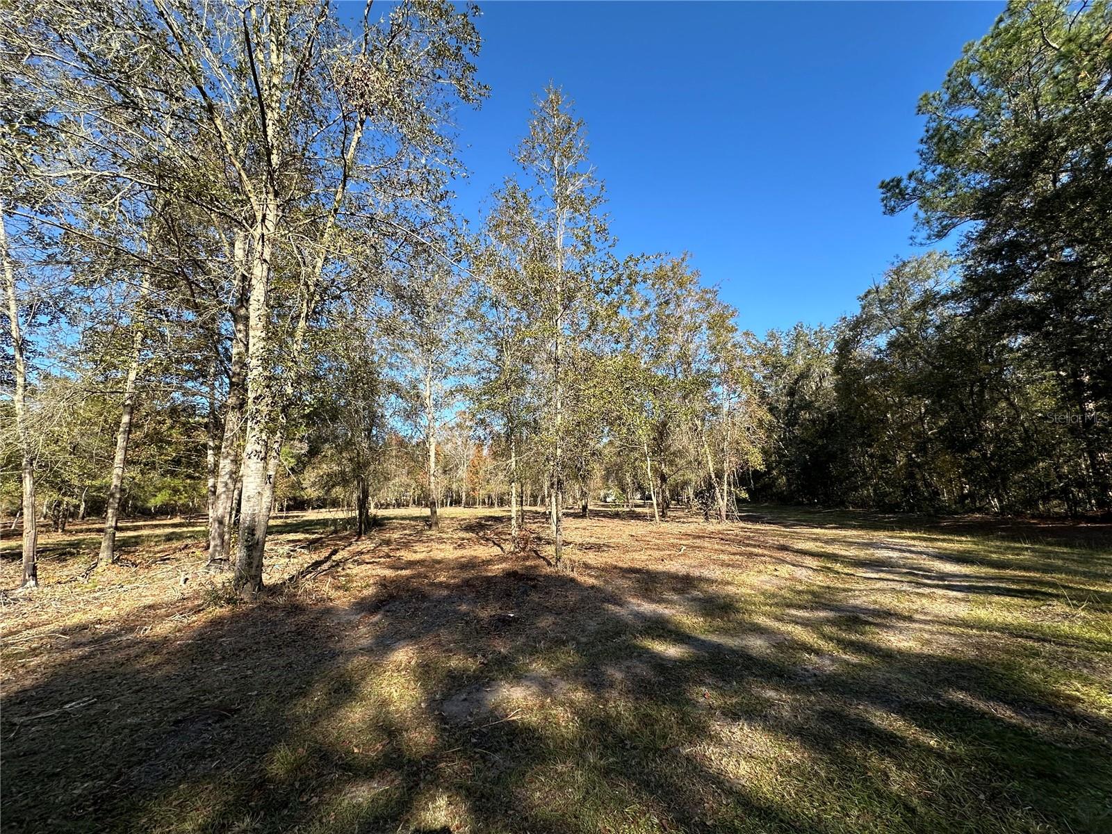 Image 8 of 25 For 4705 234 Avenue