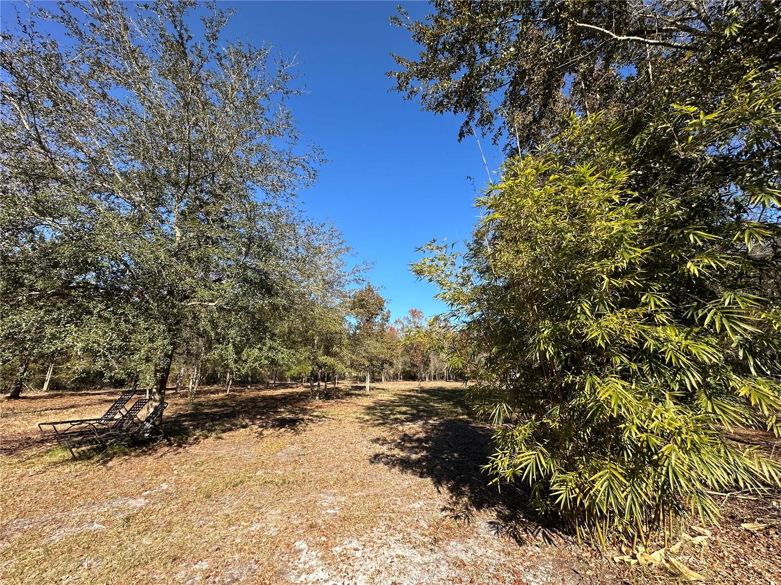 Image 9 of 25 For 4705 234 Avenue