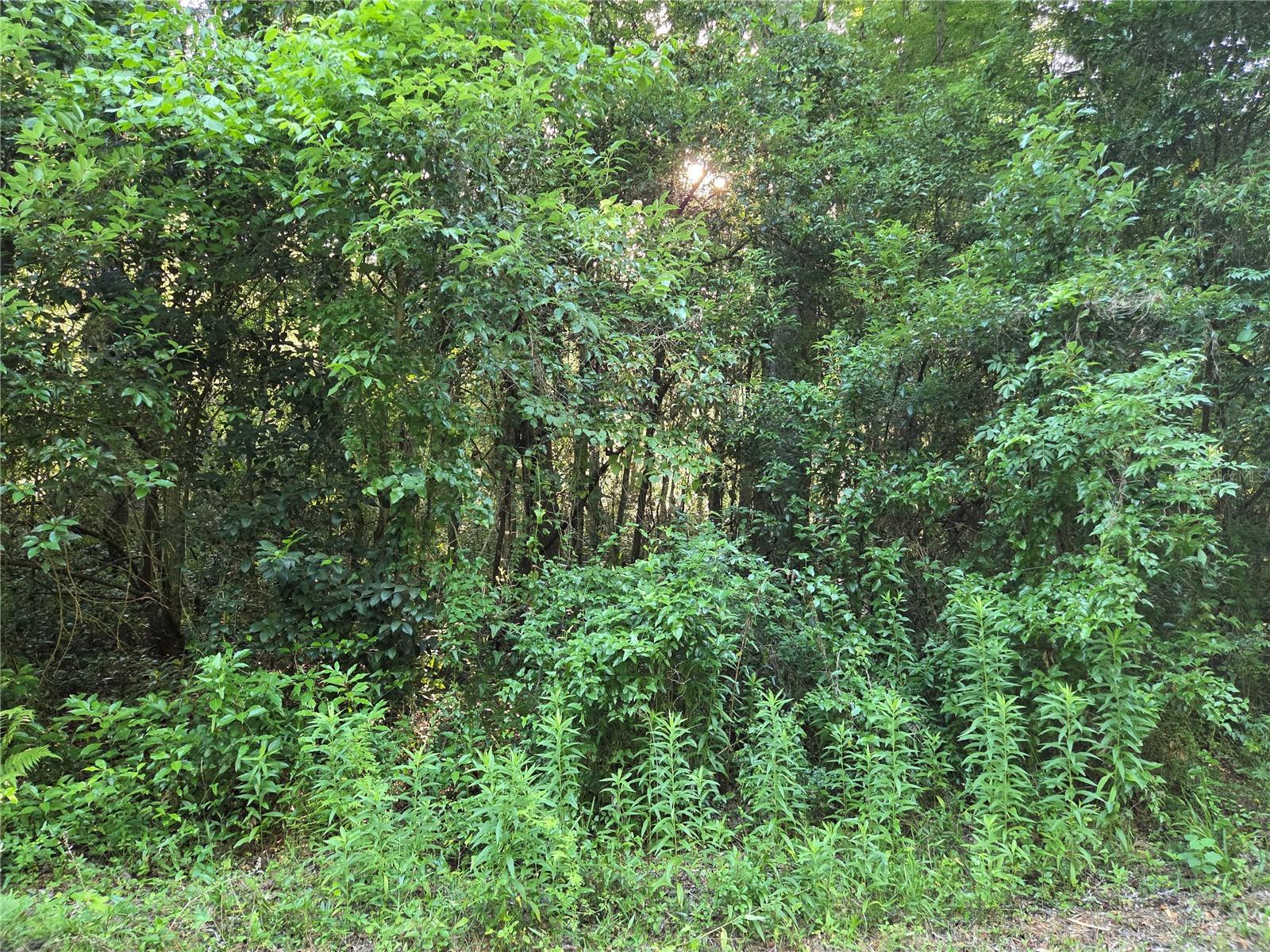 Image 4 of 6 For 15929 135th Terrace