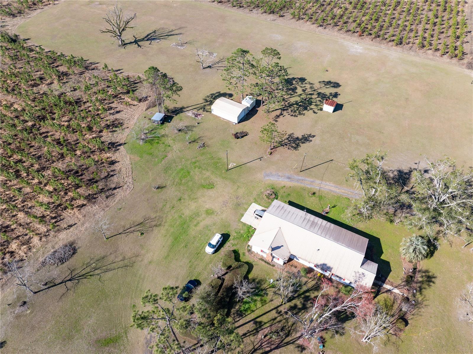 Image 15 of 19 For 1058 County Road 290