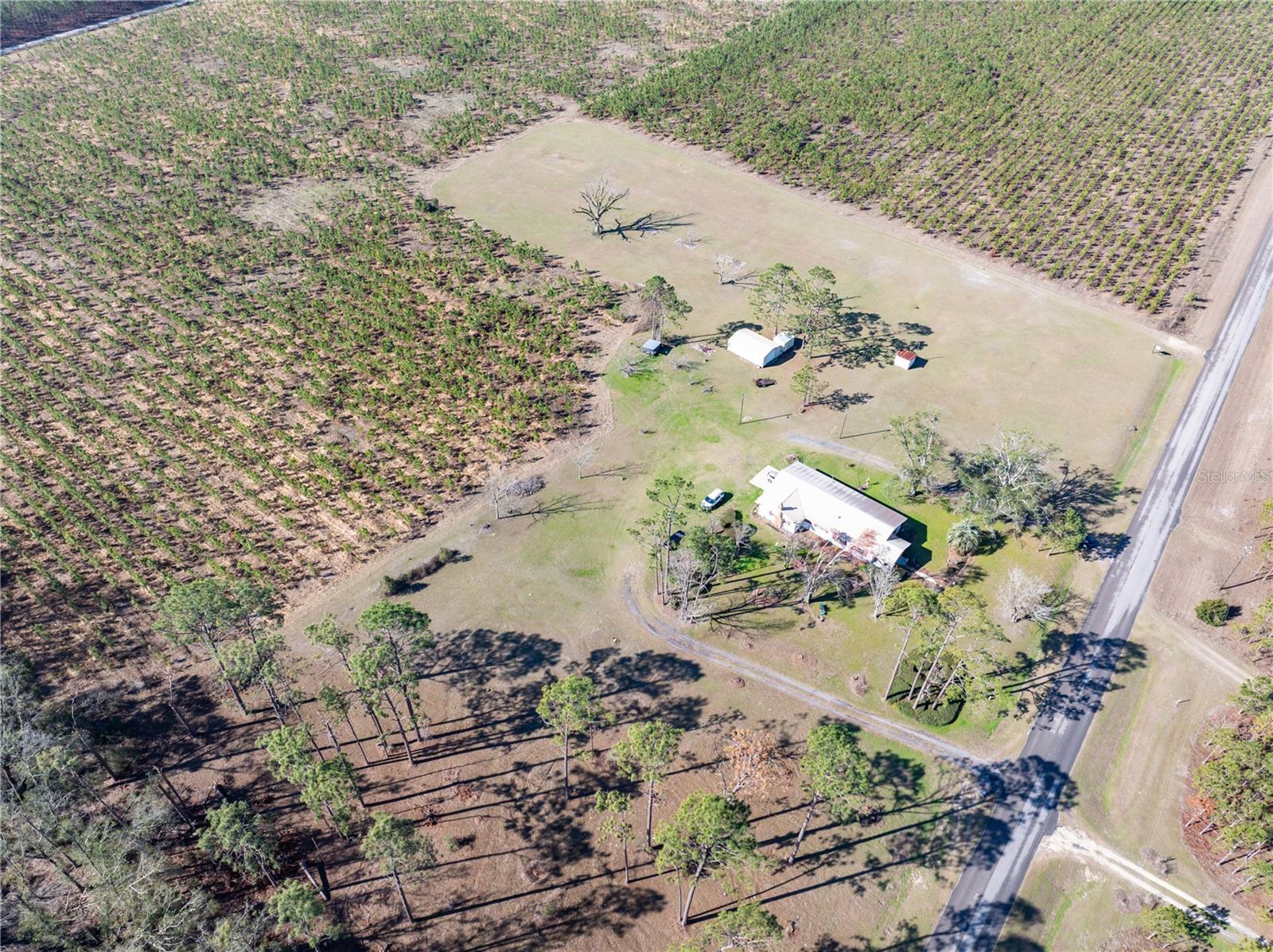 Image 16 of 19 For 1058 County Road 290