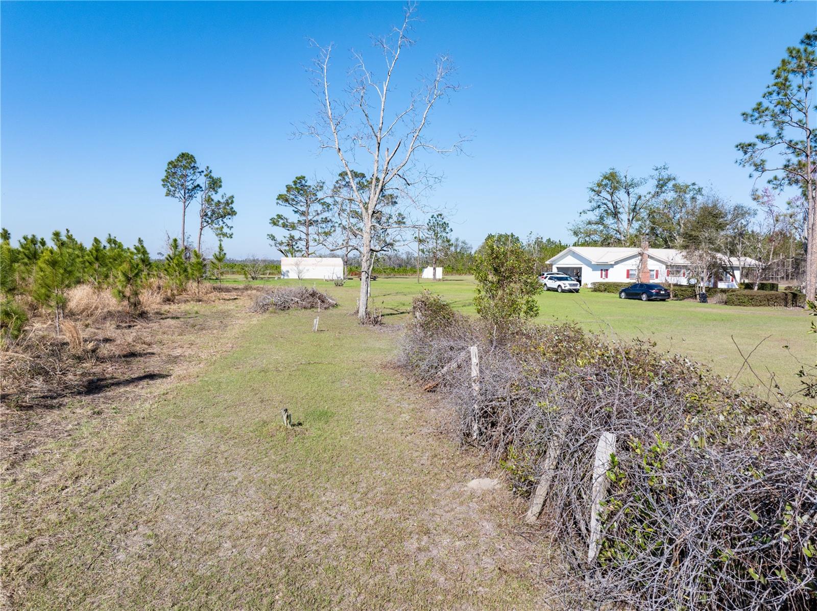 Image 19 of 19 For 1058 County Road 290