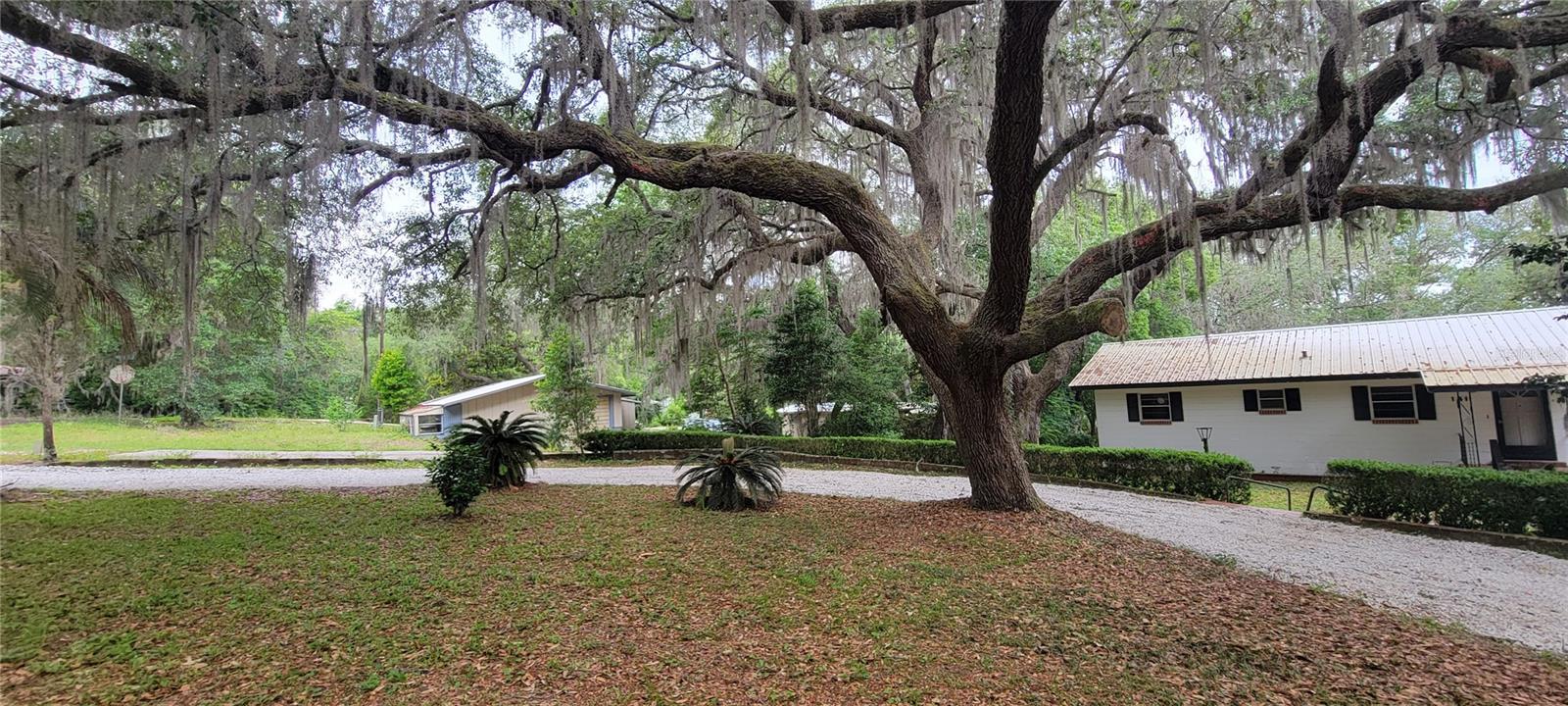 Details for 141 59th Street, KEYSTONE HEIGHTS, FL 32656
