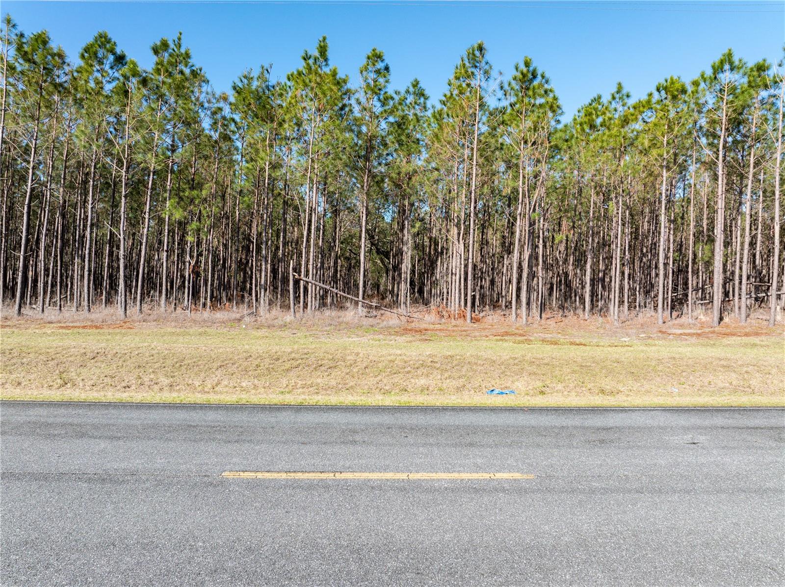 Details for Tbd County Road 251, MAYO, FL 32066