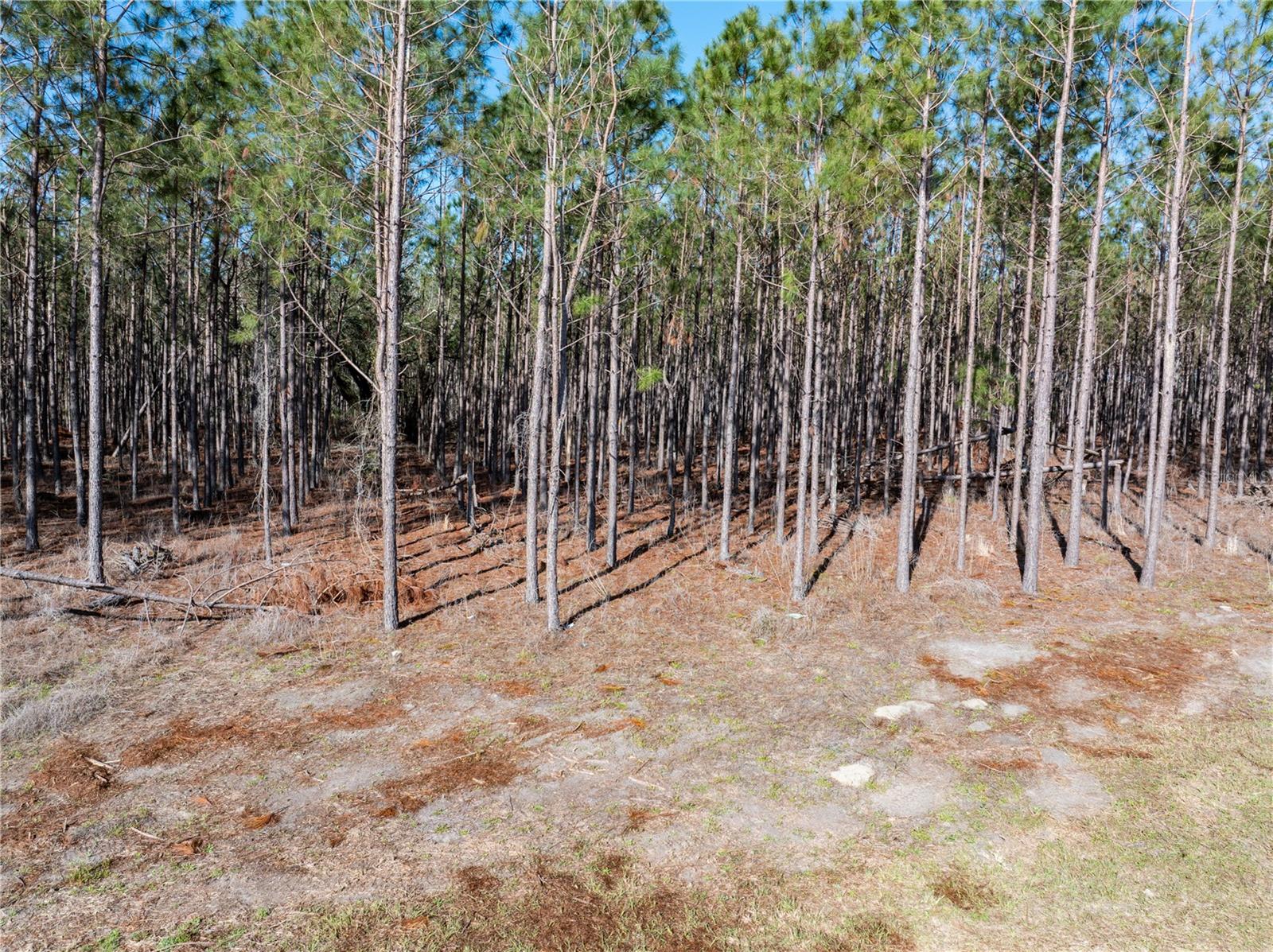Image 12 of 14 For Tbd County Road 251