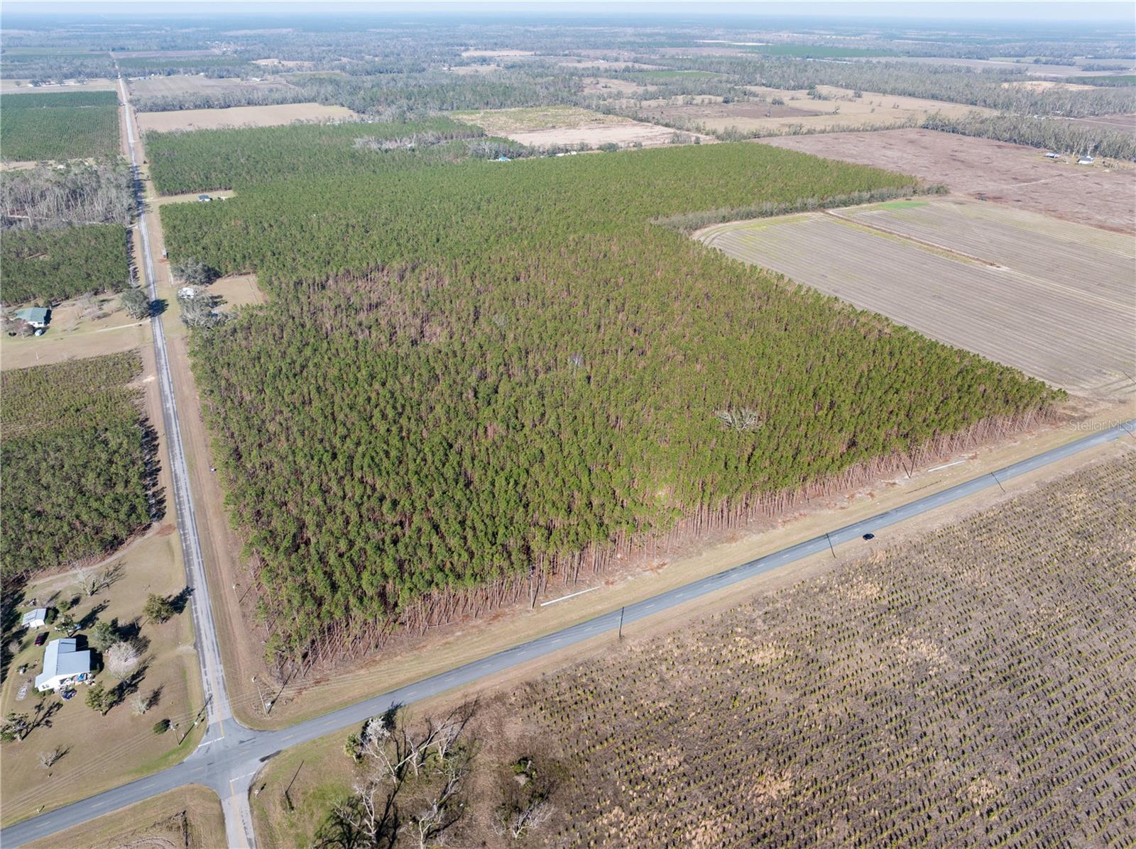 Image 7 of 14 For Tbd County Road 251