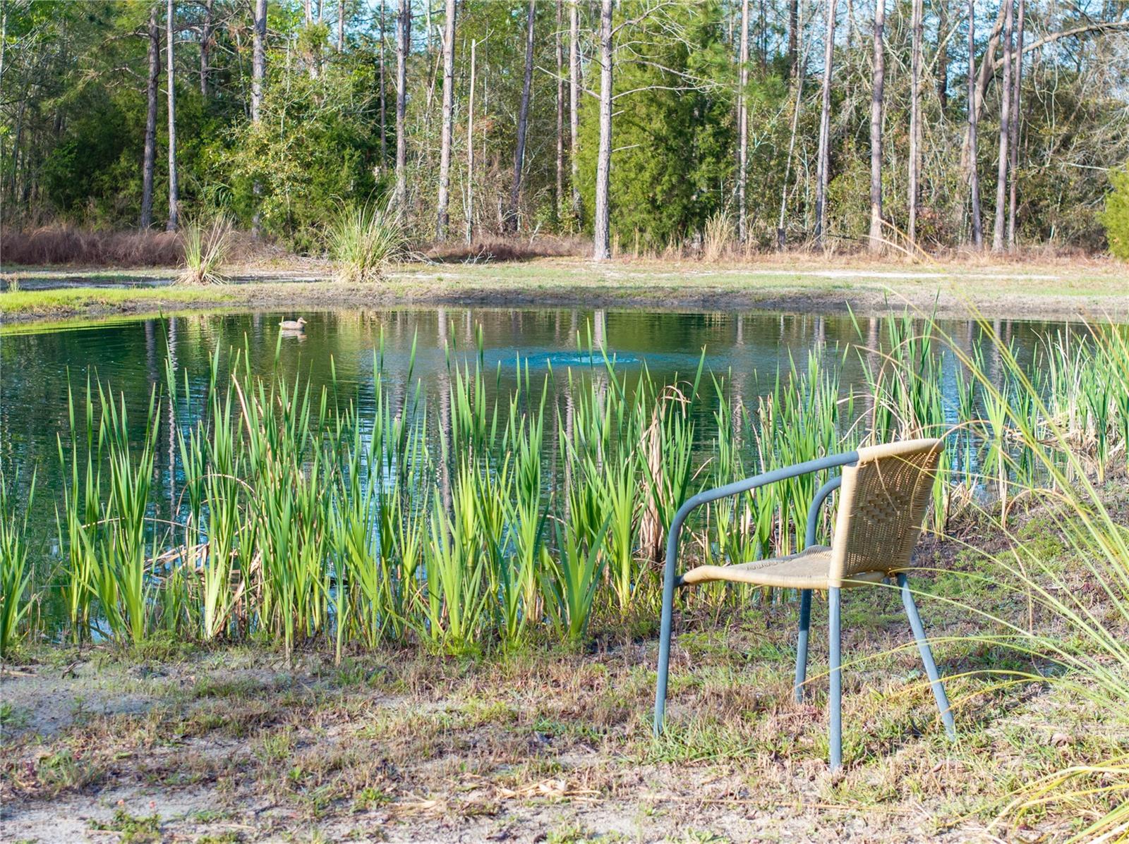 Image 36 of 55 For 11001 225th Road