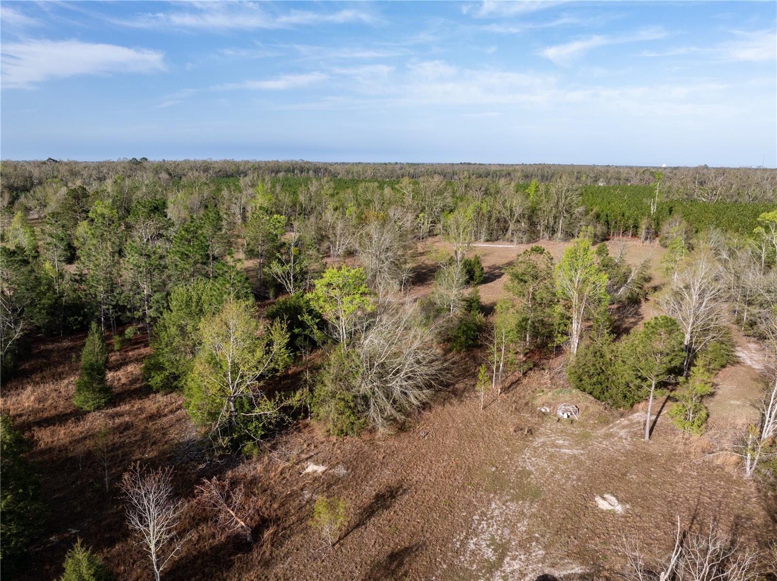 Image 48 of 55 For 11001 225th Road