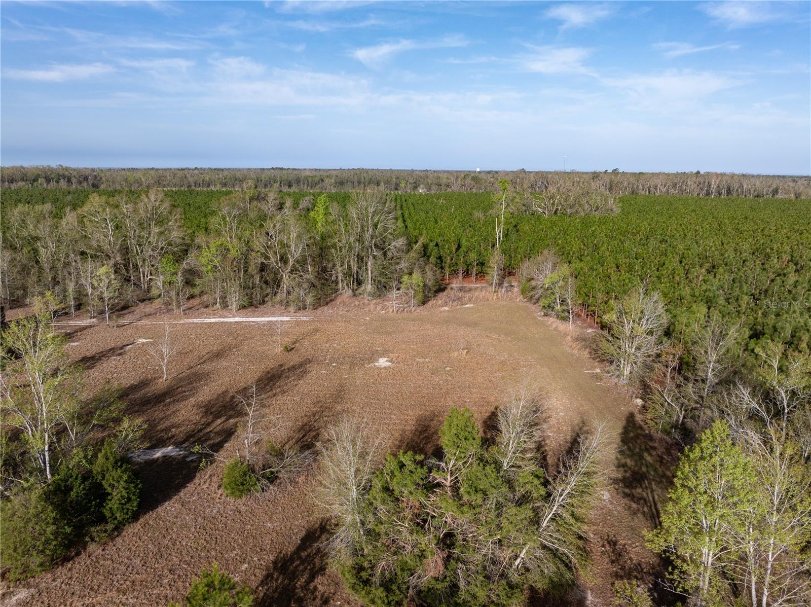 Image 49 of 55 For 11001 225th Road