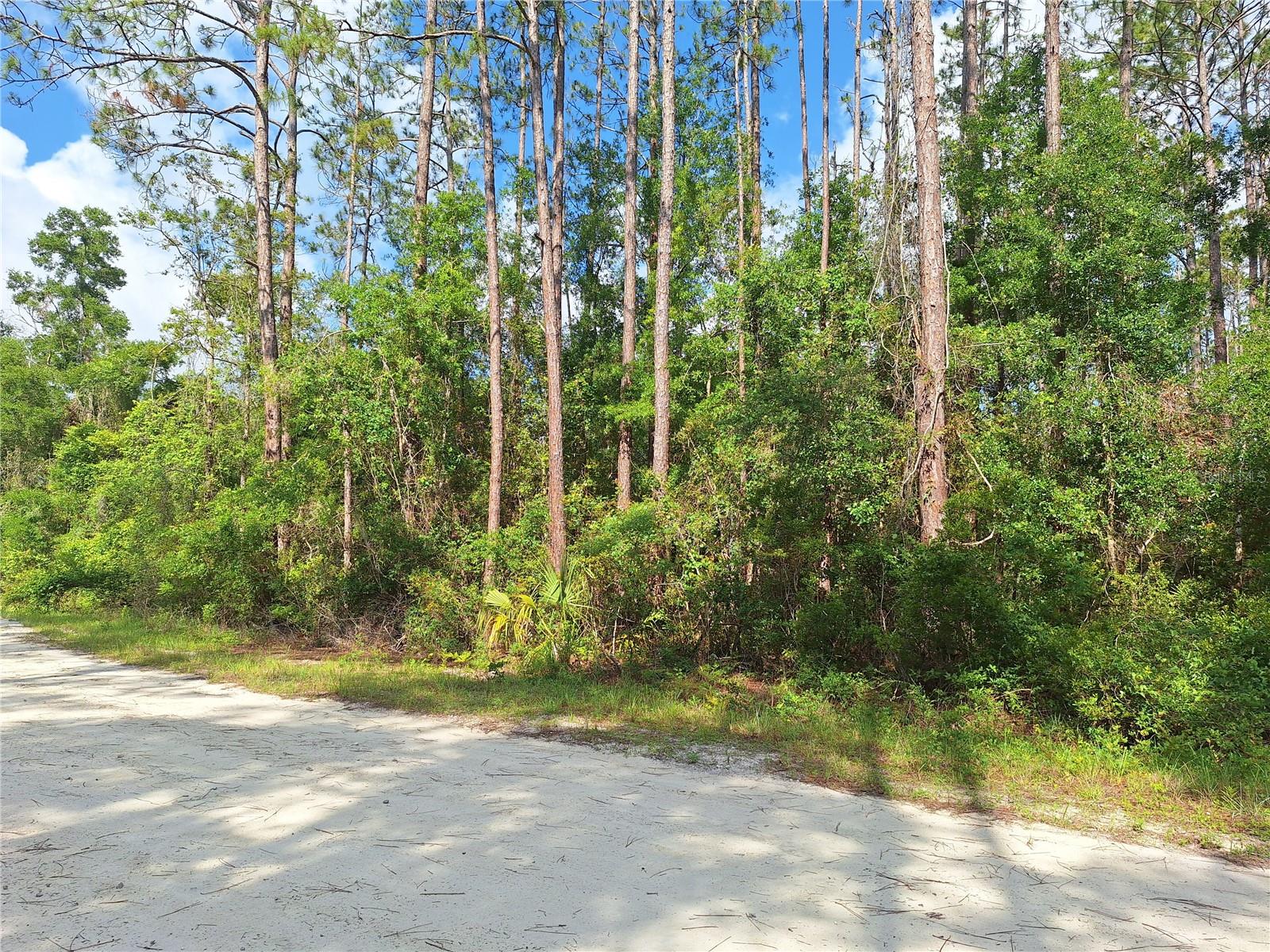 Image 7 of 15 For Tbd 00 512th Street