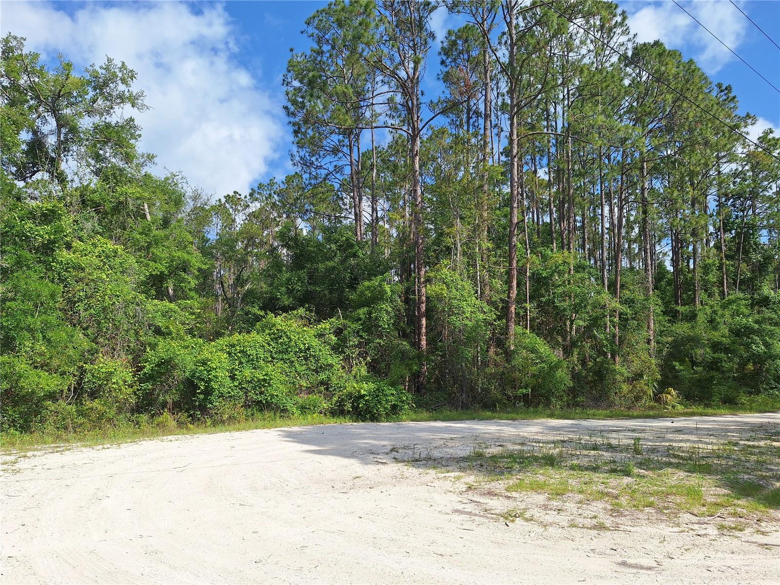 Image 8 of 15 For Tbd 00 512th Street