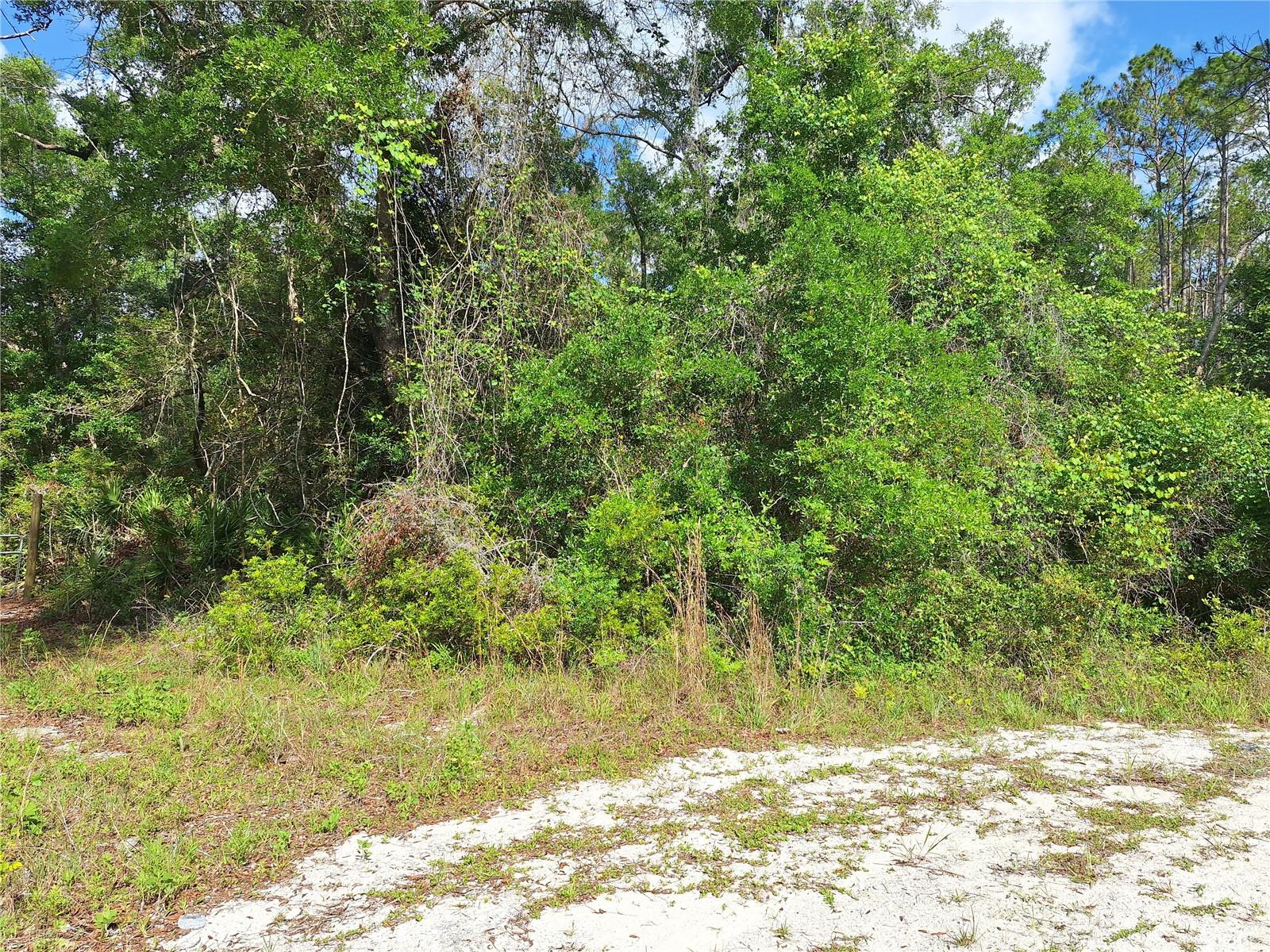 Image 9 of 15 For Tbd 00 512th Street