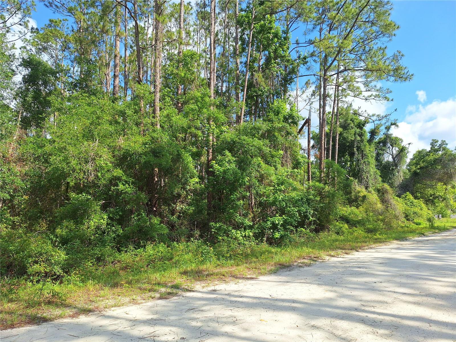 Image 3 of 8 For Lot 38 512th Street