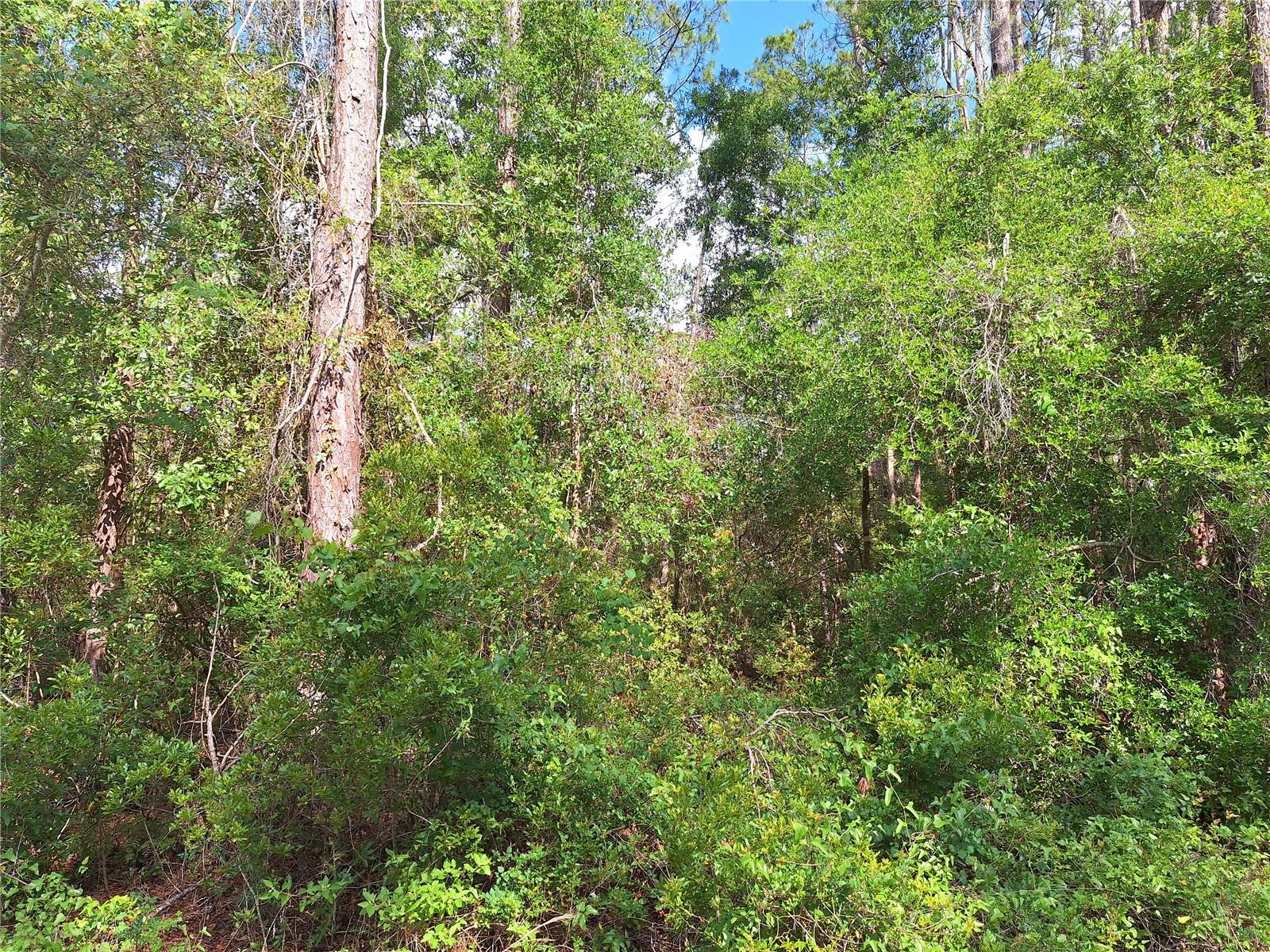 Image 4 of 8 For Lot 38 512th Street