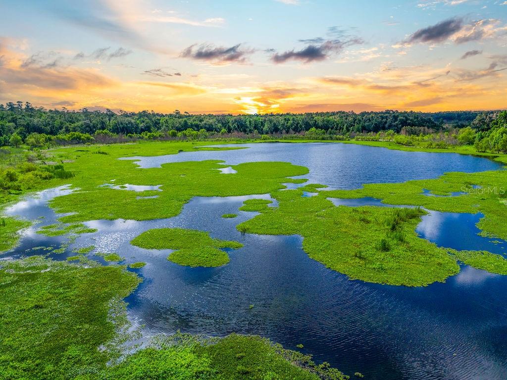 Image 31 of 33 For 11274 71st Drive