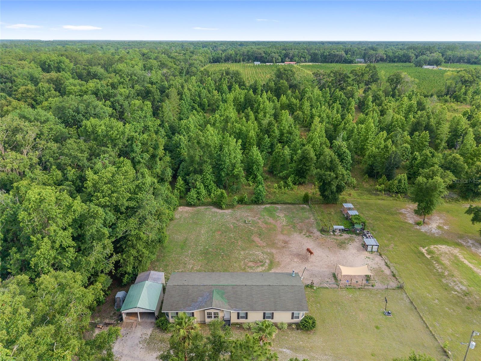 Image 39 of 47 For 2672 County Road 778