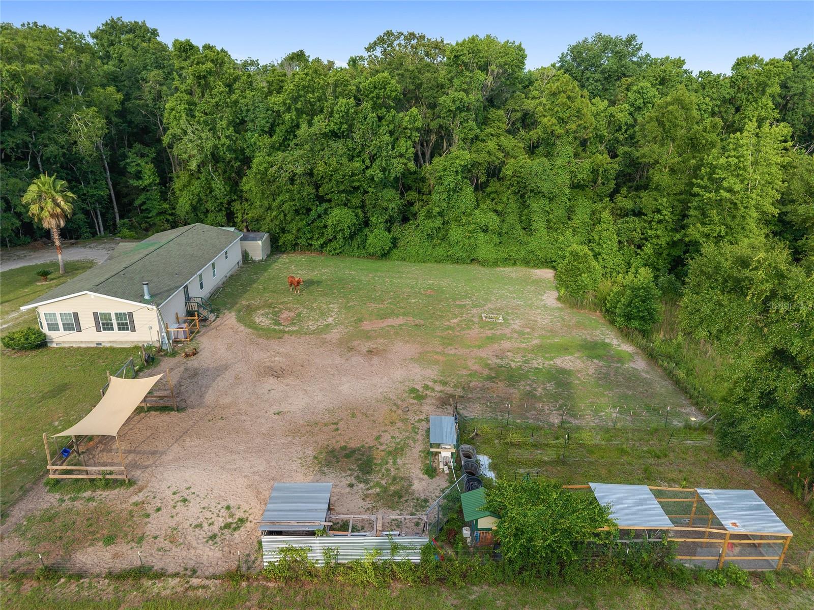 Image 41 of 47 For 2672 County Road 778