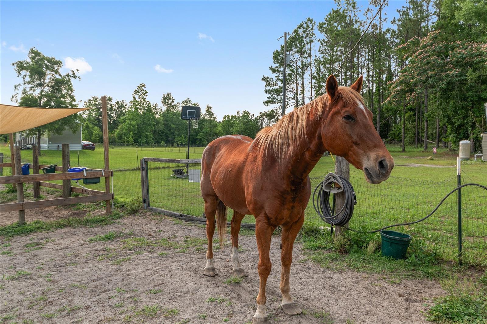 Image 47 of 47 For 2672 County Road 778
