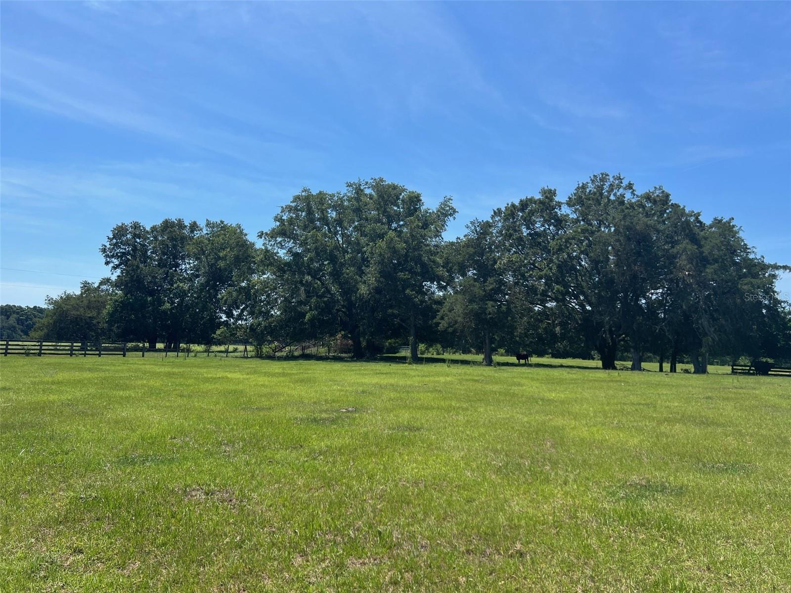 Image 3 of 16 For Lot 11 And 12 165th Avenue