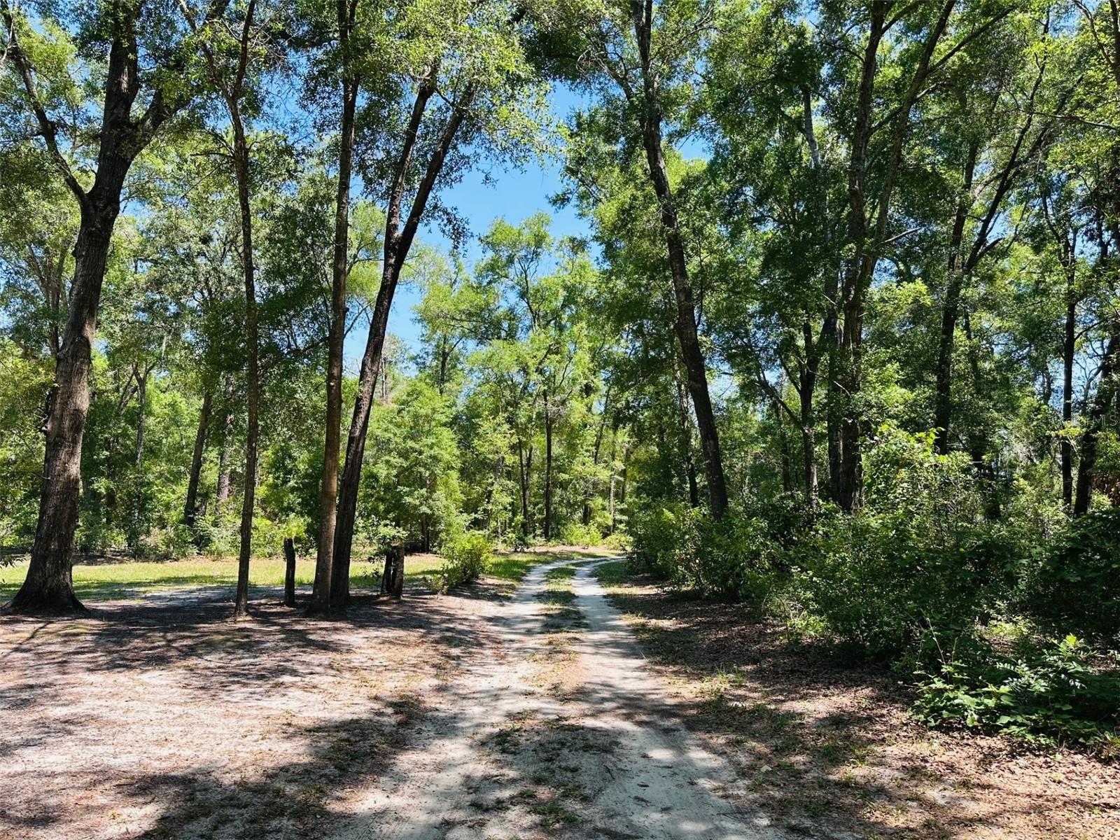 Image 2 of 30 For 6550 73rd Lane