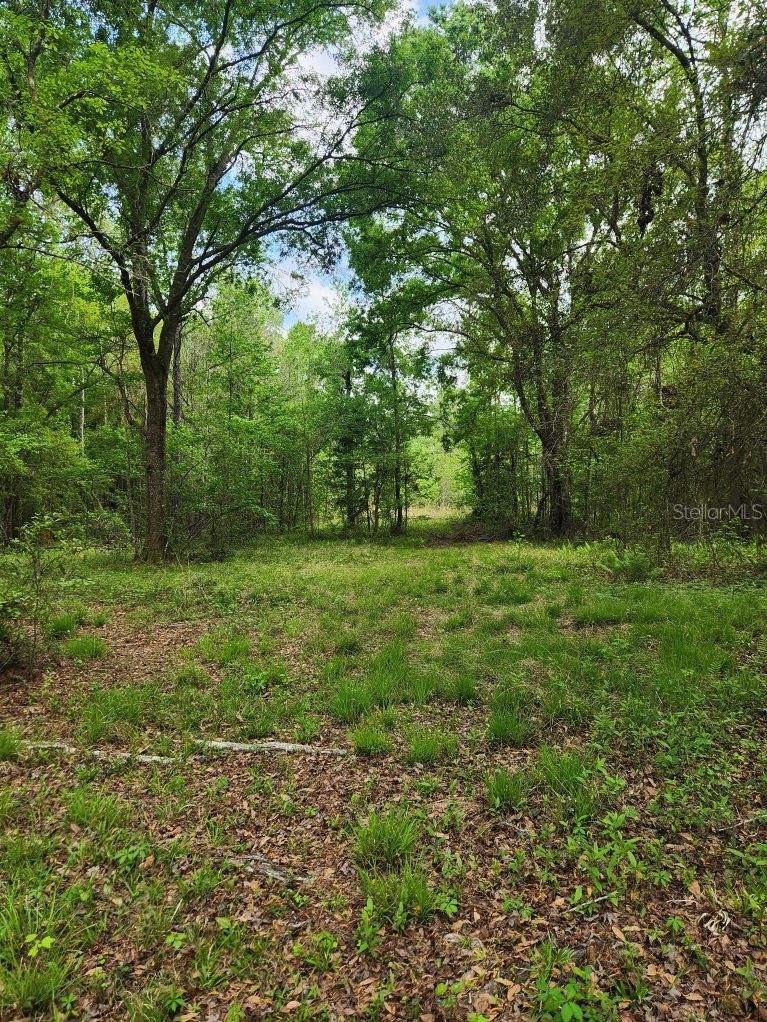 Details for 4611 244th Avenue, ALACHUA, FL 32615