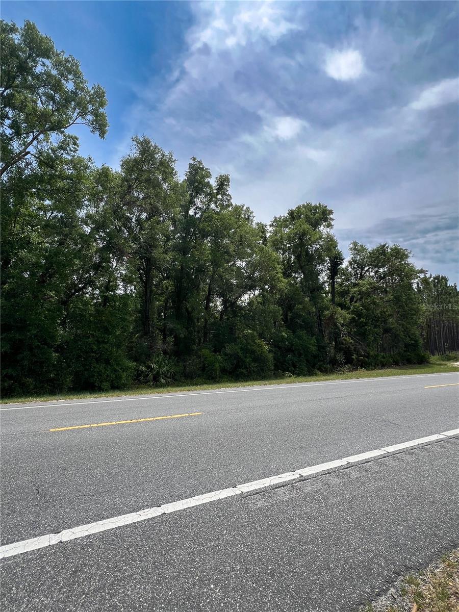 Details for 00 349 Highway, OLD TOWN, FL 32680