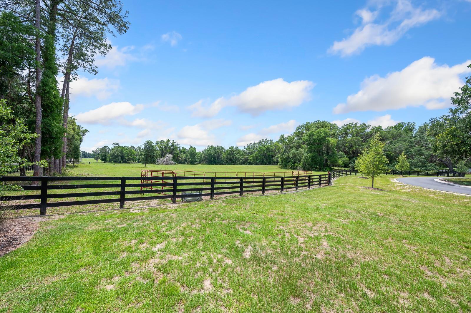 Details for  241  , NEWBERRY, FL 32669