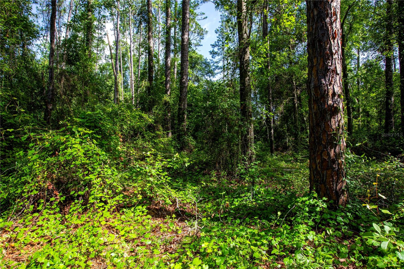 Image 27 of 30 For 2412 116th Place