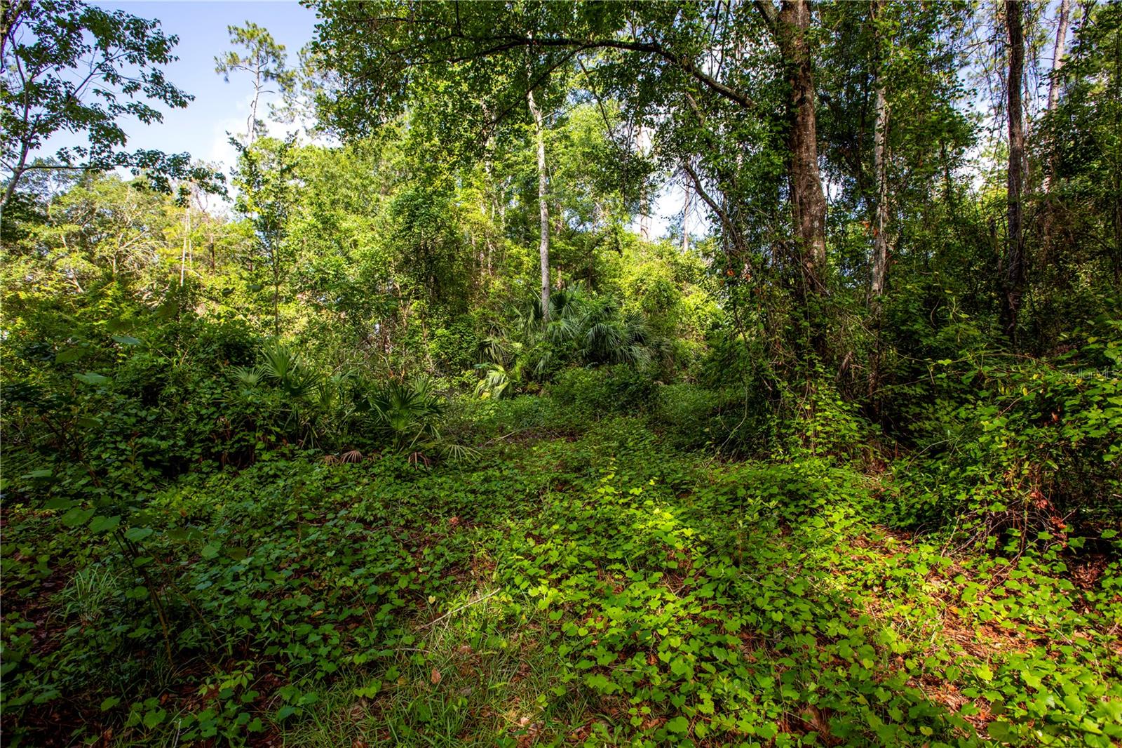 Image 28 of 30 For 2412 116th Place