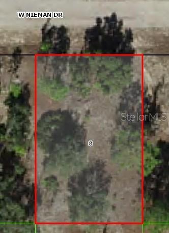 Listing Details for 3378 Nieman Drive, CITRUS SPRINGS, FL 34433