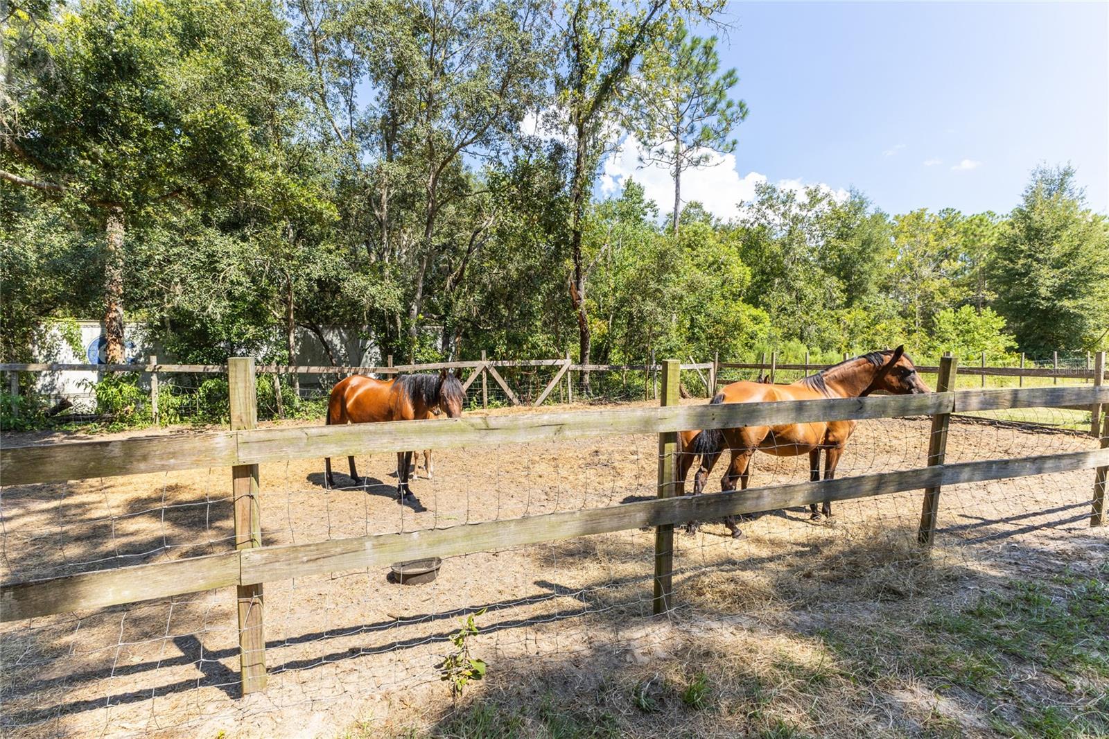 Image 40 of 44 For 114 Country Living Lane