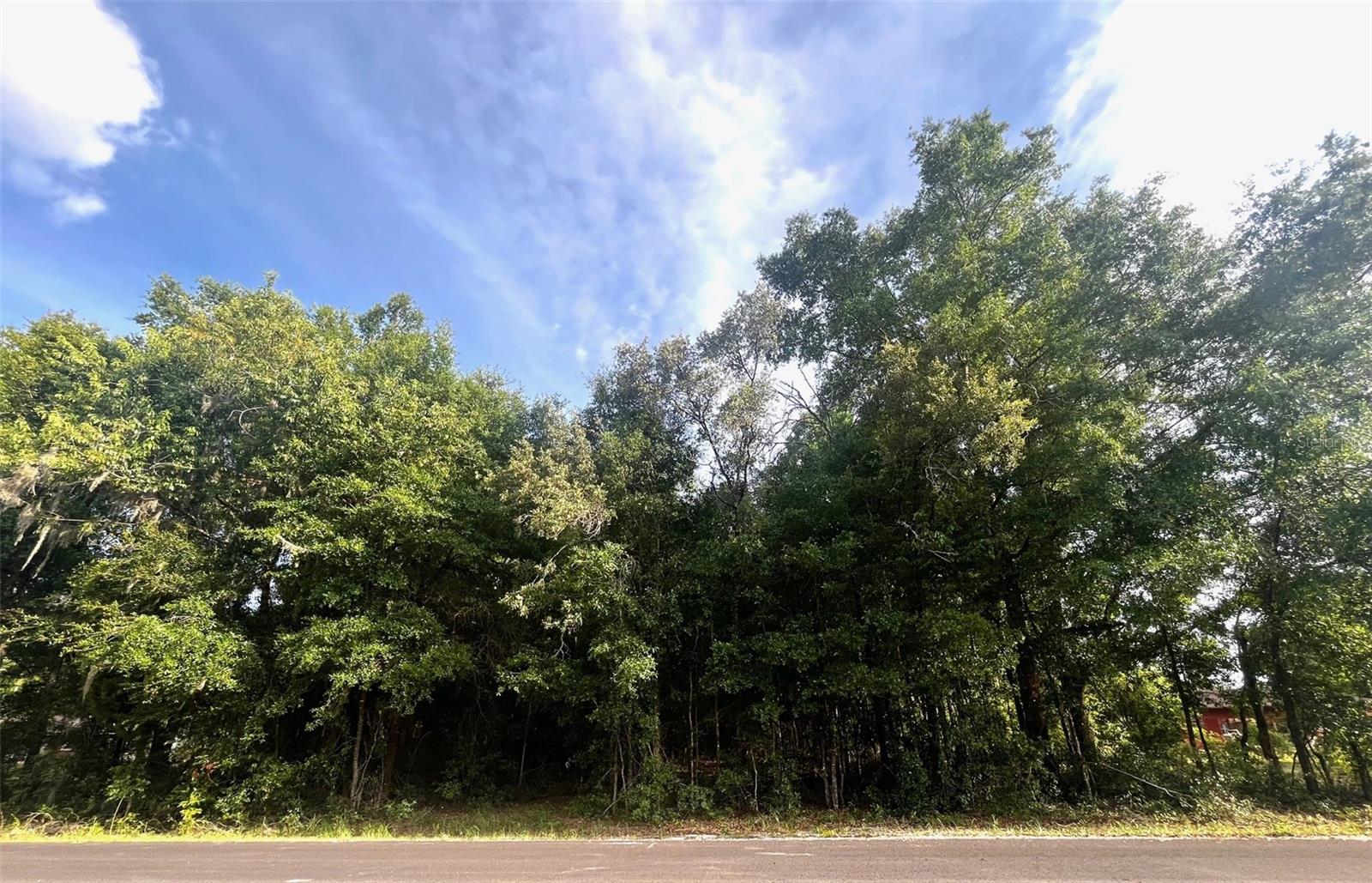 Details for 0000 56th Street, HIGH SPRINGS, FL 32643