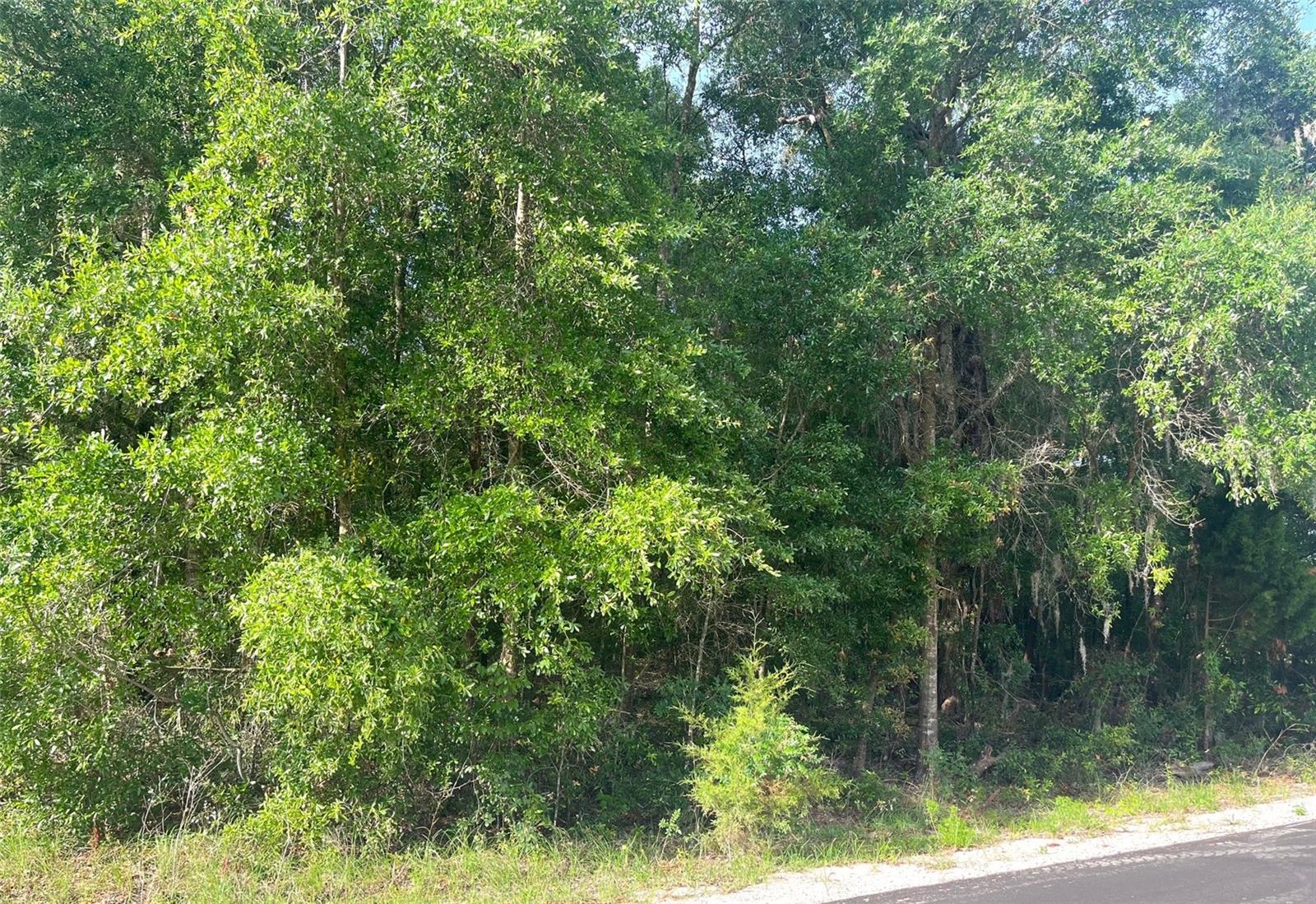 Image 11 of 23 For 0000 56th Street