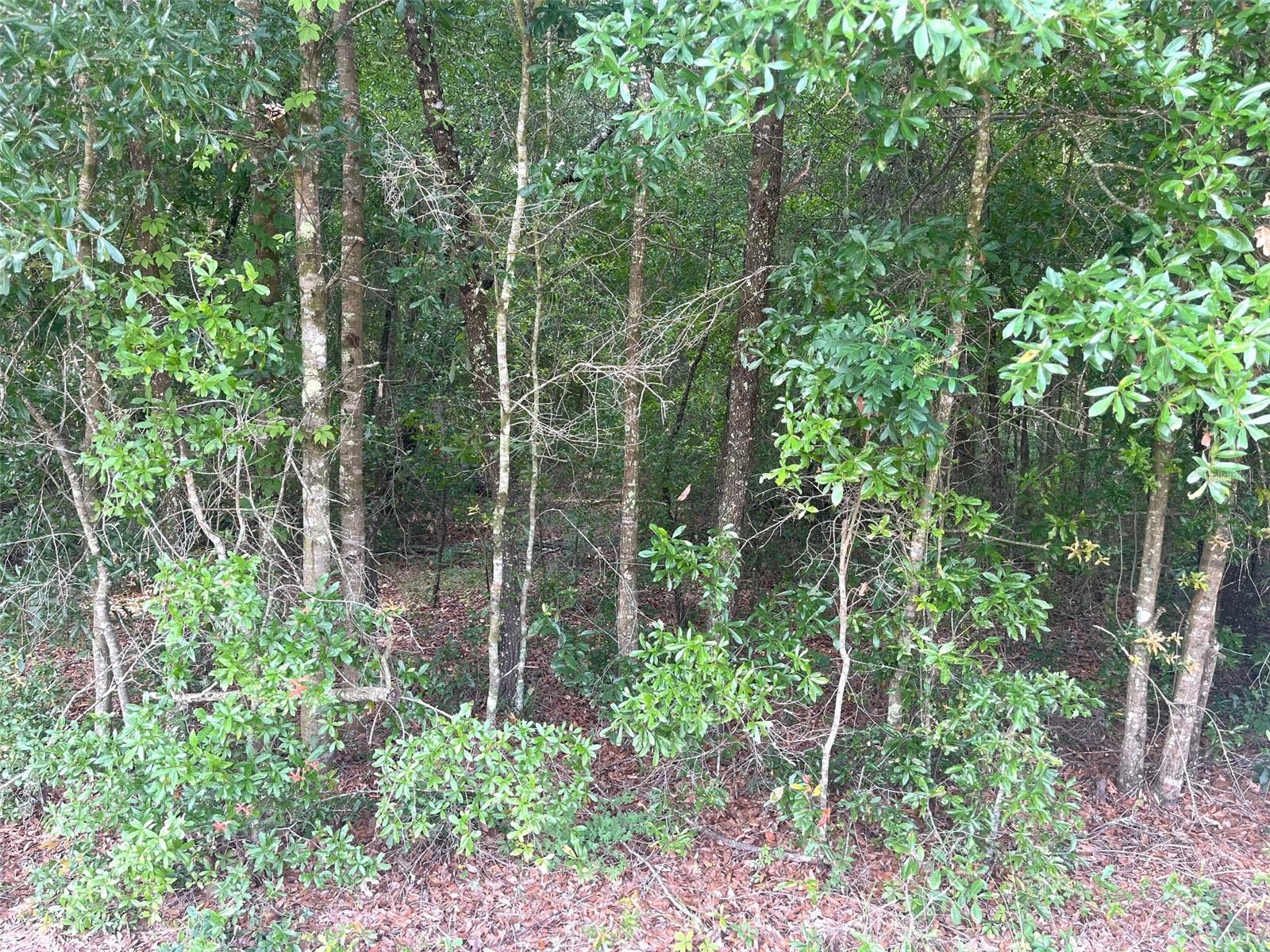 Image 8 of 23 For 0000 56th Street