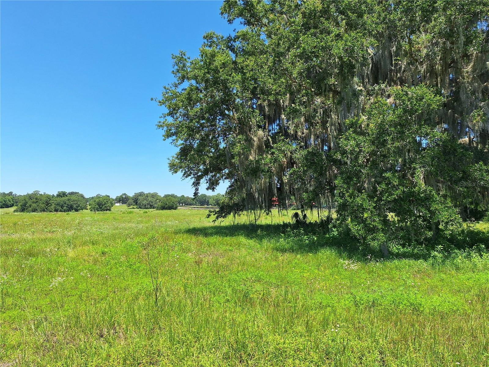 Details for 154th Ave. Rd. #12, MORRISTON, FL 32668