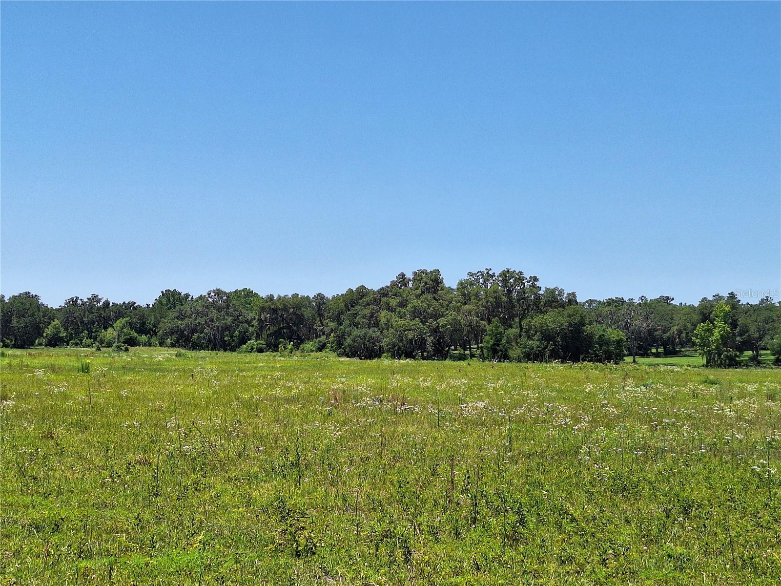 Image 11 of 16 For 154th Ave. Rd. #12